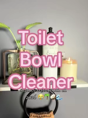 Facts 👏  #brazilianwaves #toiletcleaner #toiletbowlcleaner #bathroomclean 