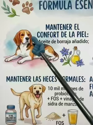 #TikTokshopbacktoschool #pet 
