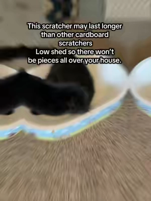 7675574081546243359
