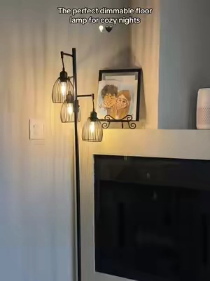 The camera doesn’t even do justice on how it dims but I love it ✨ #floorlamp #dimmablelamp #homedecor #homefinds 