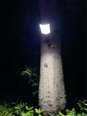 I Thought This Solar Street Light Was Expensive… Until I Saw The Price 😳#solarlight #solarpower #ledlights   ljf-0819–2-lqw