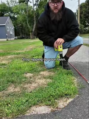Driveway markers are the way to go ! #driveway #drivewaymarkers #homeowner #TikTokshopbacktoschool #vevor 