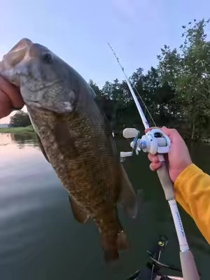 Love the icy white centron lite! @KastKingUSA 🥶 #tiktokshopcreatorpicks #TikTokshopbacktoschool #baitcaster #fishing #kastkingusa 