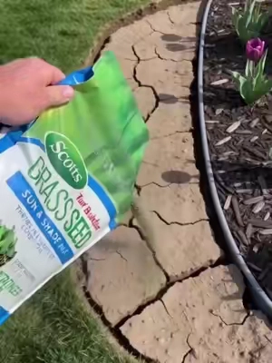 Stop Burying Your Cash in the Dirt! 💸 #lawncare #yardwork #lawnaerator #tiktokshopfind #Rifpod 