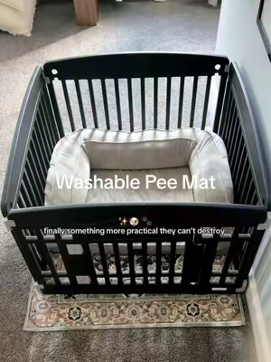 Puppy-proofing your home without sacrificing the aesthetic 🐶✨  #PuppyTraining #WashablePeeMat #TikTokShopCreatorPicks