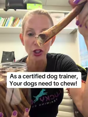 As a certified dog trainer, Your dogs need to chew! @Wild Wolf Bully Sticks #wildwolf #bullystick #dogsoftiktok 