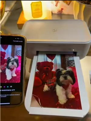 Respuesta a @lulu Impresora de fotos #photo #photography #photoprinter #printer #photography 