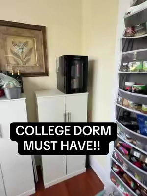 This mini fridge is so perfect for a college dorm! #TikTokshopbacktoschool 