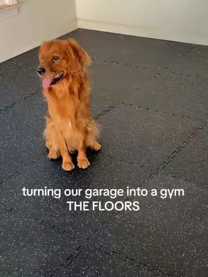 turning our garage into a home gym, episode 1: the floor 🏋️🐾  @VEVOR Home Improvement  #vevor #homegym #TikTokshopbacktoschool #homemakeover