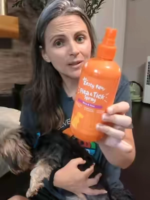 Zesty paws flea and tick prevention spray #zestypaws #petscreatorbootcamp #TikTokshopbacktoschool #fleaandtickprevention 