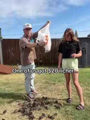 That worked extremely well… #yardwork #lawncare #homehacks #tiktokshopcreatorpicks #lawnsweeper 