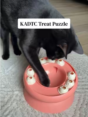 These treat puzzles are back in stock! Grab one before they’re sell out again! #treatpuzzle #cattoys #catenrichment #slowfeeder #backtoschool