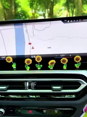 Cute car decorations!#cartoy #caraccessories #fyp #cardecoration