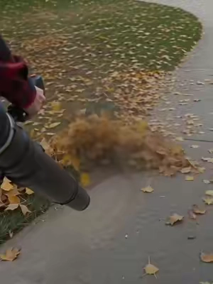 #VEVOR # LeafBlower #BackpackBlower #DealsForYouDays #TikTokShopSummerSale