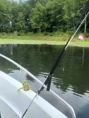 #underwatercamera #fishfinder #fishcamera #underwaterview #fishing 