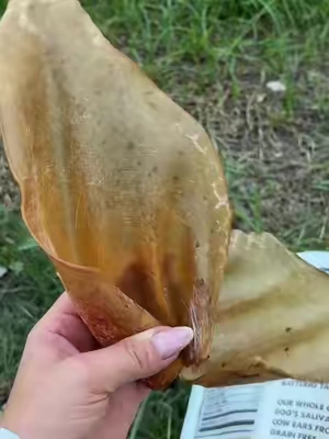 Mighty Paw Grass-Fed Cow Ear Chews for Dogs - All-Natural & Delicious High Protein Treats#Summervibes #tiktokbacktoschool #dealsforyoudays #tiktokshopsummersales #petlover 