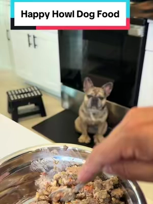 My Rocky has been eating Happy Howl for a few months now and never leaves any in his bowl! #happyhowl #humangradedogfood #dogfood #healthydogfood #healthydog 