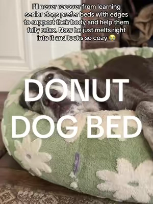 My precious old man is so comfy now 😭 #seniordog #seniordogsoftiktok #dogbed #dogsoftiktok #tiktokshopcreatorpicks 