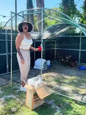 Que rico gallinas lo mejor para tener huevos orgánicos. #proteina #gallinas 