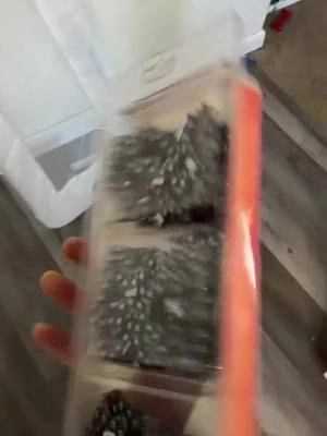 #chainsaw 