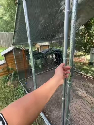 #chicken #coop #garde #tiktokshop #shopping 
