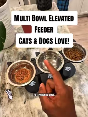 Elevated Pet Feeder cats Enjoy and Cat Moms Choose #cat #cats #catsoftiktok #petcare #petsupplies 
