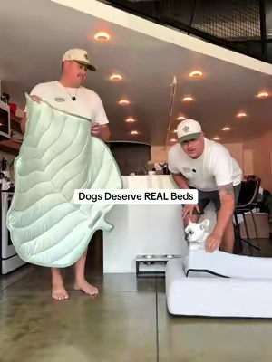 Your dog spends way too much time sleeping for a cheap bed. #dogbed #orthopedicdogbed #bedtime #dogsoftiktok #wearedogfriendlyco 