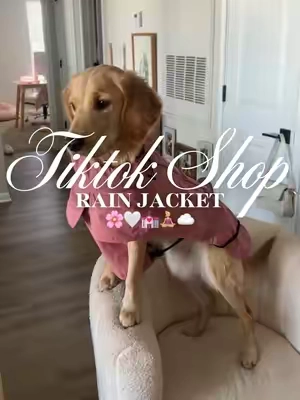 Dog rain jacket 🌸🤍💒🧘🏼‍♀️☁️#fyp #dograinjacket #dogclothing #dogclothes #dogaccessories 