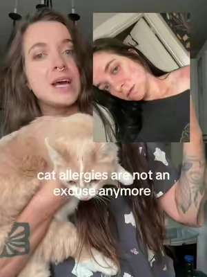 If you are allergic to cats, or someone in your house is… you NEED to try this #catallergies #catallergy #allergictomycat #catmom 
