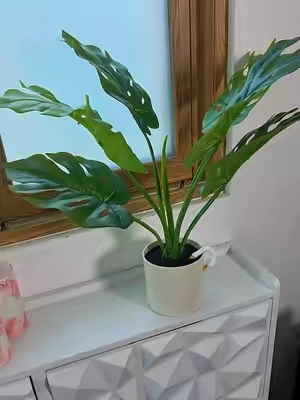 Nearly Natural 20 Artificial  #artificialplants #qvc #TikTokshopbacktoschool @QVC, Inc 
