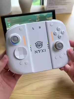 Sometimes people just need the facts - Nyxi Hyperion3 controller #nyxi #switch2 #joycon #hyperion #tiktokshopcreatorpicks 