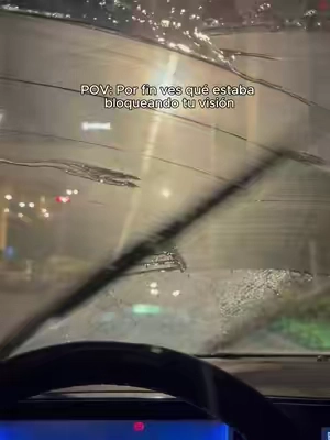 La lluvia no debería dejarte conducir a ciegas#perture #cardetailing #detailing 