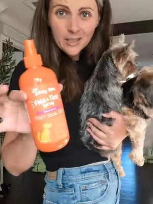 Zesty paws flea and tick prevention spray to keep fleas away from your dog's #zestypaws #petscreatorbootcamp #TikTokshopbacktoschool #fleaandtickprevention 