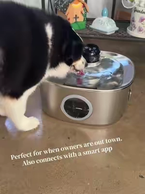 Your dogs deserve good clean water also. Makes it easy for owners because there is smart app to monitor water level and water intake. #pawaboofountain #petowners #smartwaterfountainforpets #dogmoms #automaticwaterbowl @Pawaboo  