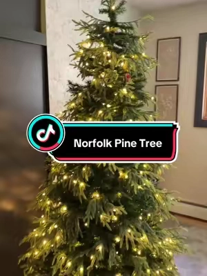 Replying to @user3255088876558 the Norfolk pine has led lights with a warm white setting! 