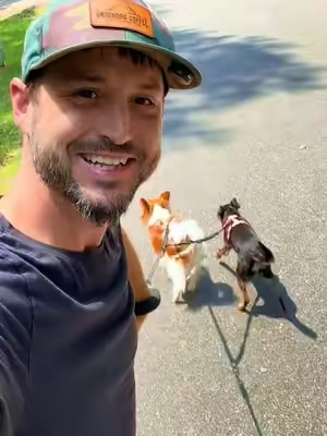 If you have two dogs then you already know that just taking them on a walk can be a pain! You end up spending more time untangling them instead of enjoying the walk. Well, check out this  amazing no-tangle leash! What a game changer! Great for big or small dogs and they have so many colors to choose from. #tiktokshopcreatorpicks #backtoschool 