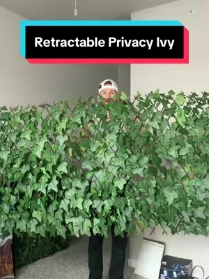 The easiest way to get some privacy #privacyfence #ivy #homedecor #backyard #homeandgarden 