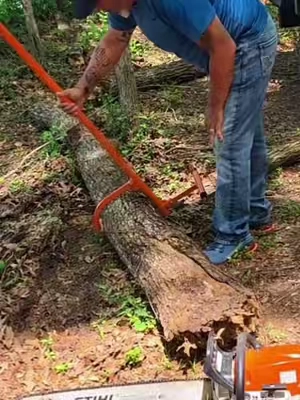 Vevor Timberjack #chainsaw #arborist #firewood 