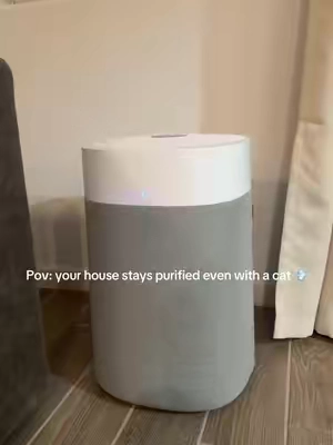 The biggest and most efficient air purifier ever 