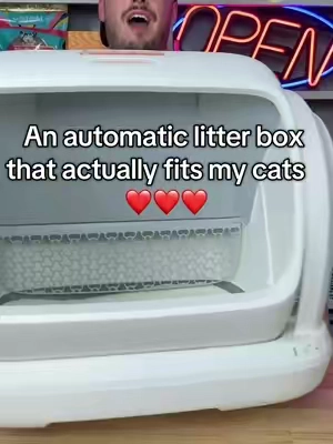 An automatic litter box large enough for all four of my cats 