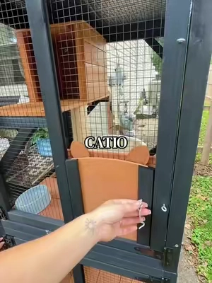My cat’s favorite little spot right by the porch 😻☀️ The perfect way to give her some outdoor time while keeping her safe! #Catio #CatTok #CatMom #PetFinds   #TikTokshopbacktoschool  