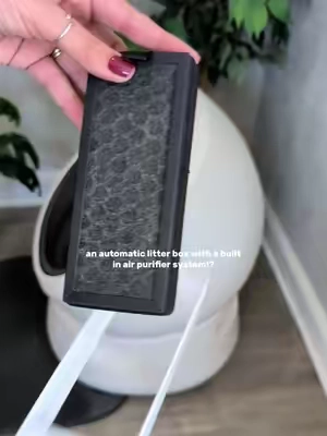Lots to love about the Luma litter box but I'd buy it for the odor control alone cause it's that good.   PETLTTSLBAF for 15% off (limited time and qty).  #automaticlitterbox #odorcontrol @Petlibro #TikTokshopbacktoschool #lumalitterbox #litterboxreview 
