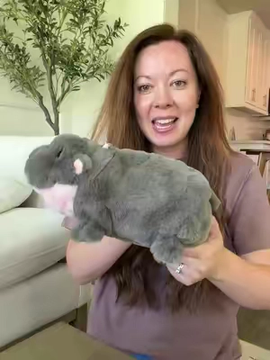 Warmies hippo #hippo #warmies  #pygmyhippo #pygmy #stuffedanimals 