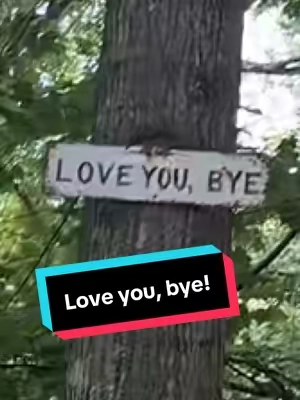 #homedecor #thesouth #loveyoubye #decor #yarddecor 