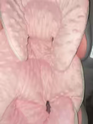 Fabric for inside of stroller 