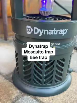 We bought this for mosquitoes, but it’s been working great for the bees too. I hate bee season.#mosquitohack #beesnest #dynatrap #TikTokshopbacktoschool #tiktokshopcreatorpicks 