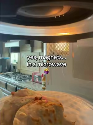Such a cool kitchen invention! Keeps your microwave splatter-free and clean, and you never lose it bc it magnetizes inside the microwave! #kitchenfinds #tiktokshopcreatorpicks 