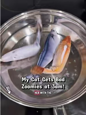 Small Floppy Fish Toys for Cats & Cat Entertainment #cat #catsoftiktok #cats #cattoys #catlover 