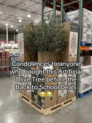 #tiktokshopcreatorpicks 