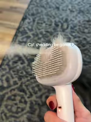 #catsoftiktok #cat #catbrush #tiktokmademebuyit #kittycat 